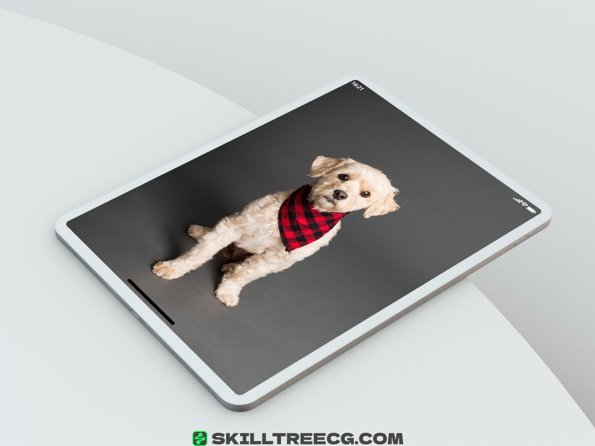 图片[3]-iPad Pro White & Black Tablet PSD Mock-ups（765753）-技能树